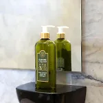 Oda ve Kahvaltı Frantoio Del Moscatello Camaiore